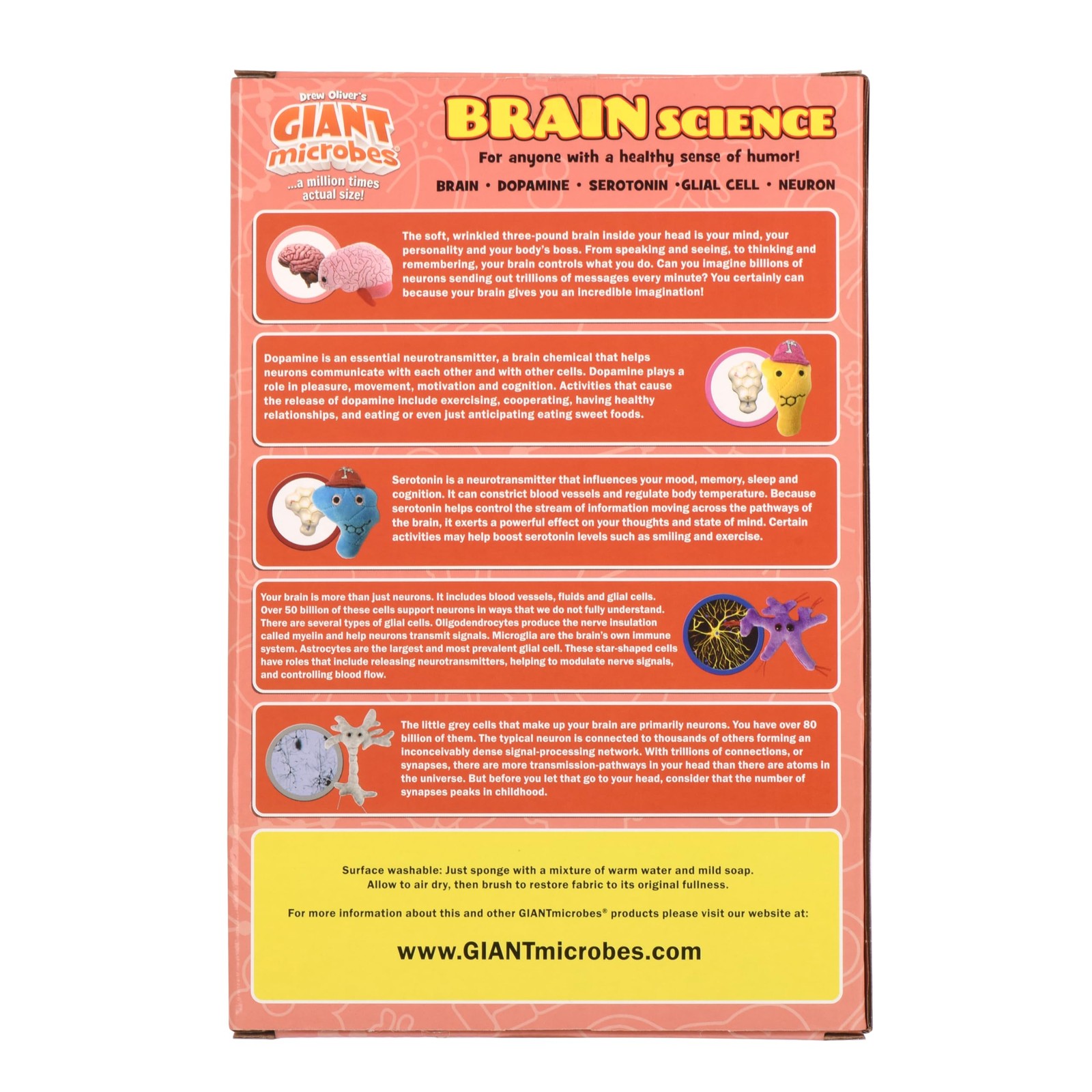 Brain Science Themed Gift Box, Brain Gifts, Neurology, Psychology Gifts, Plus…