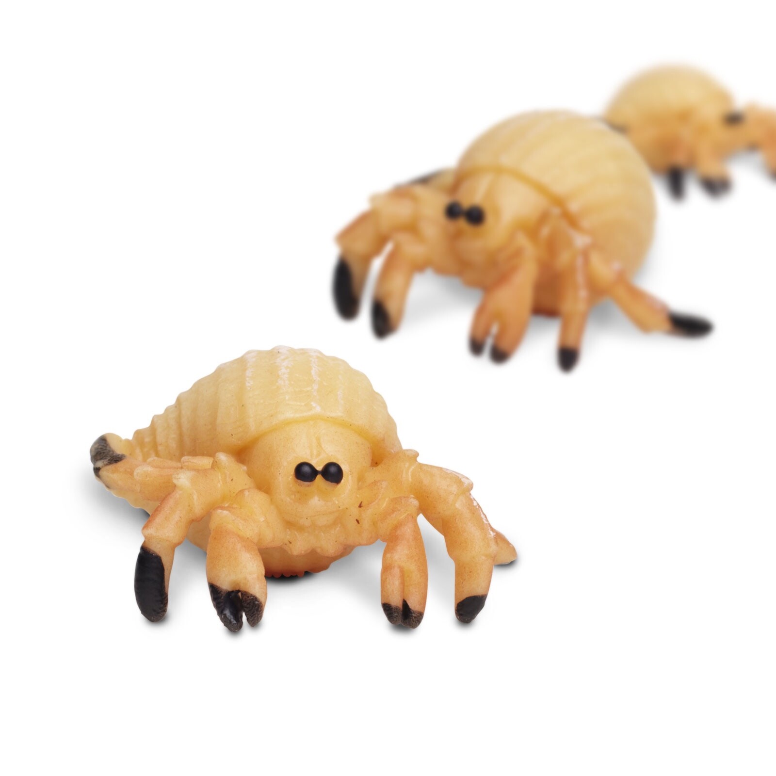 SAFARI LTD HERMIT CRABS SET OF 25 GOOD LUCK MINIS! #342822! TINY 1″ LONG!