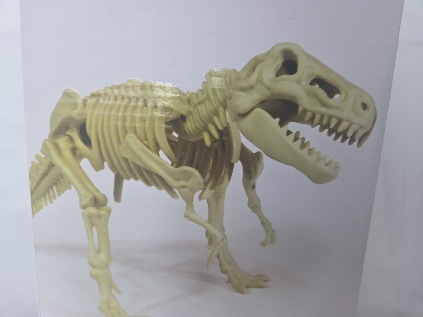NEW! T Rex (Dinosaur) Fossil Model by Smithsonian, A STEM Toy