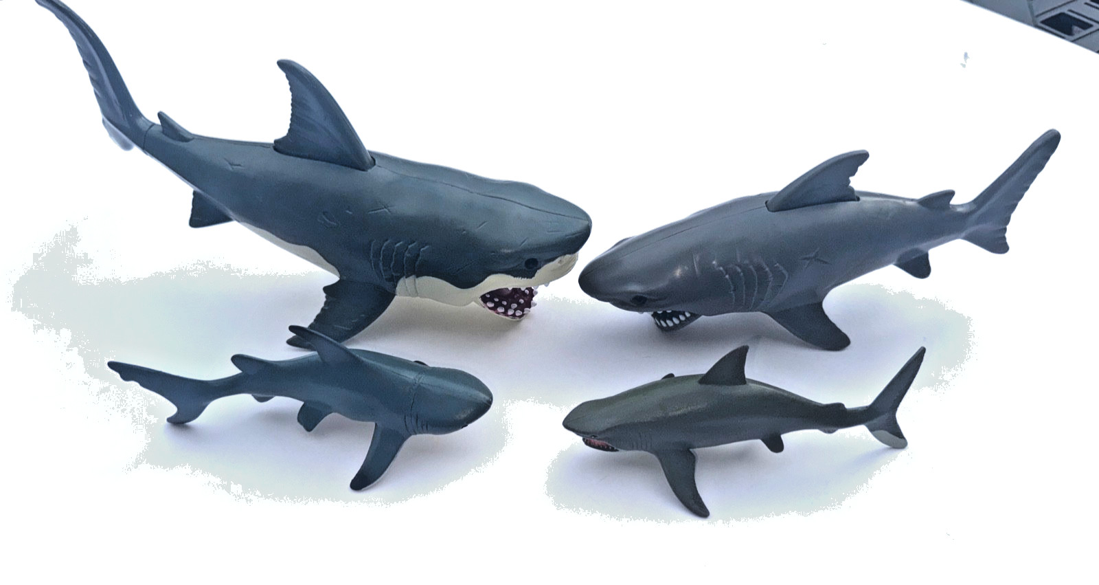 Ocean Animal Figure Lot – 22 Sharks + Dolphin + Beluga Whale– Toy Set