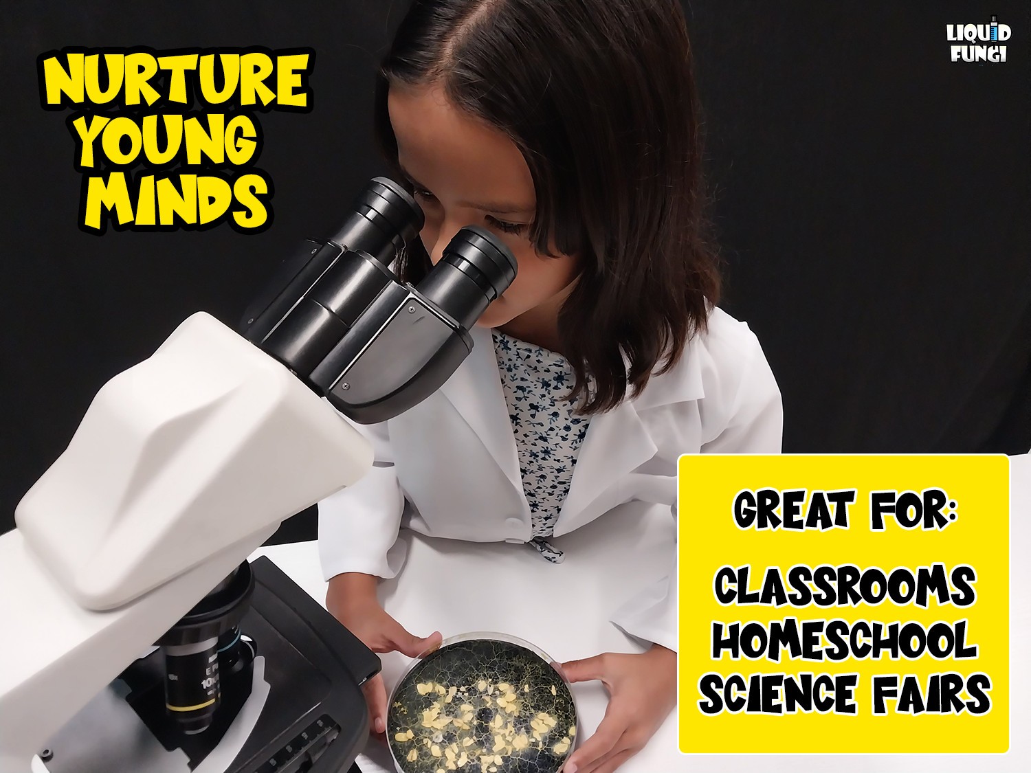 Slime Mold Educational Science Kit Physarum Polycephalum Study Project