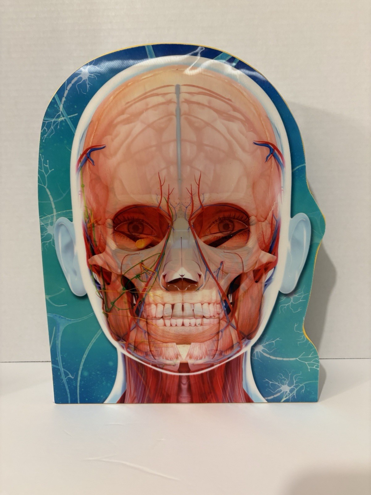 Learning Adventures The Human Body Educational Set Ages 6+ (2021)