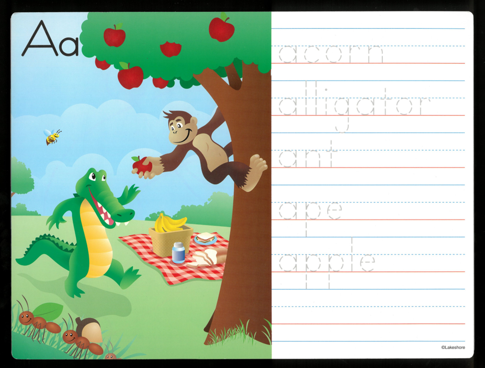 Lakeshore FIND & WRITE ALPHABET CARDS A to Z ages 4+ CLEAN AND COMPLETE w Pouch