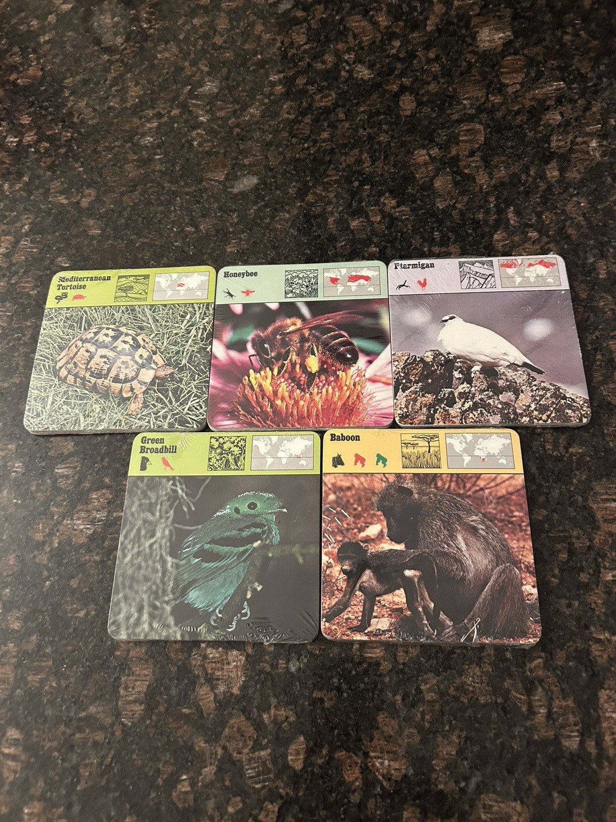 Safari Cards Educational Classification Of Animals Box Set 1975 Rencontre 1500+
