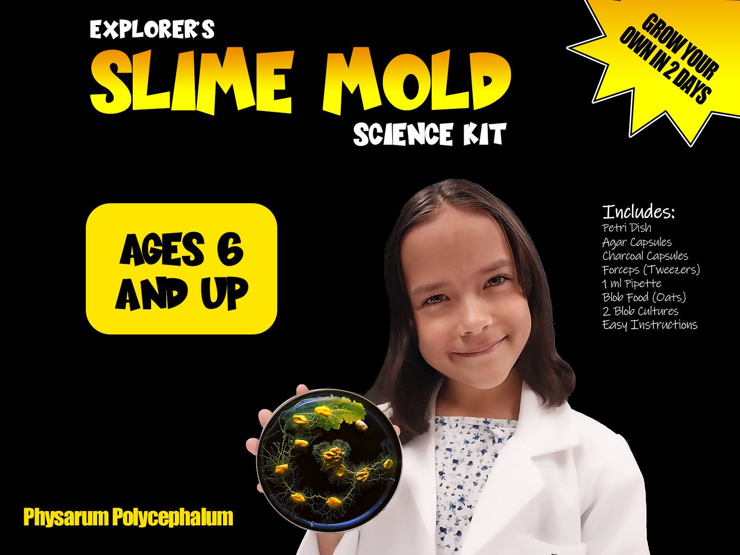 Slime Mold Educational Science Kit Physarum Polycephalum Study Project