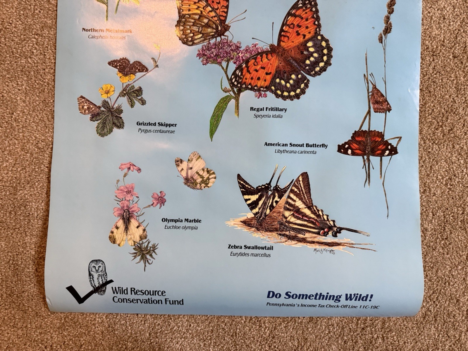 VTG Butterflies & Skippers Of Pennsylvania Conservation Fund 1993 Klinger Poster