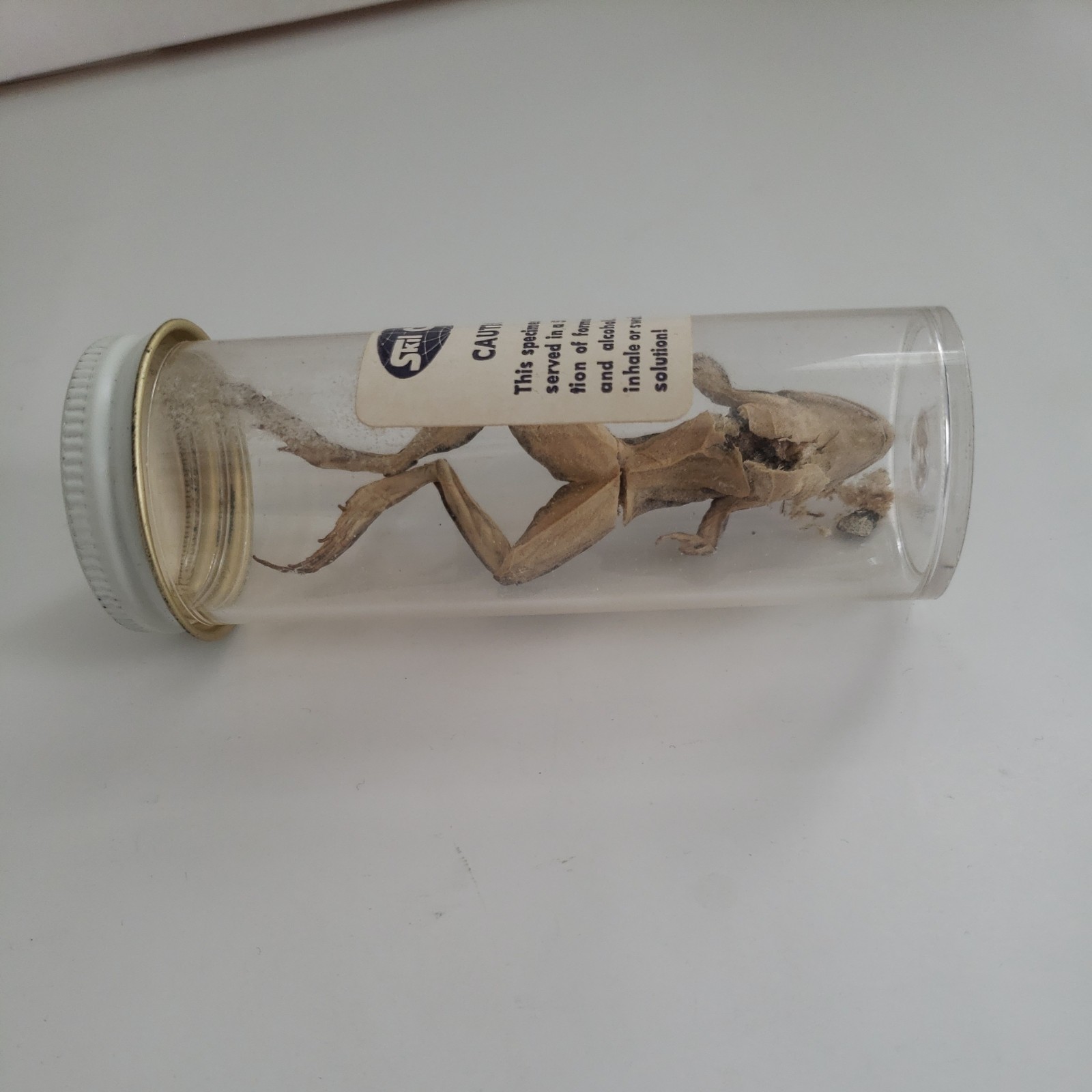 1960s SkilCraft Biology Lab Set Metal Hinged Case dissect hydroponics chemistry