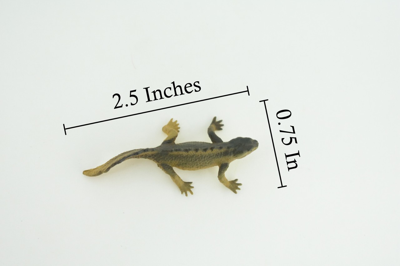 Toy Water Dragon, Sailfin Lizard, Realistic Hand Painted Rubber, 2″ WR48 B197