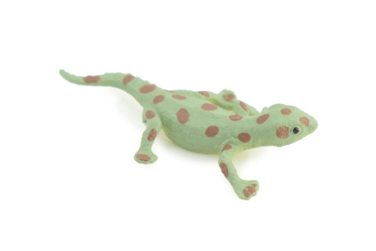 Spotted Gecko, Toy Lizard, Realistic Hand Painted Rubber, 2.5″ WR46 B197