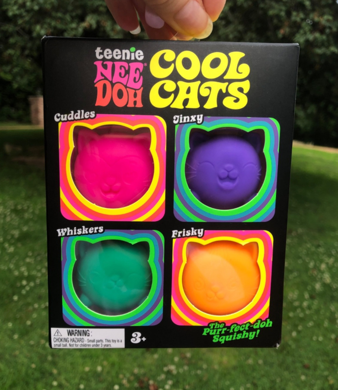 •AUTHENTIC• Shylling NeeDoh Teenie Cool Cats 4 PC Sealed In Box