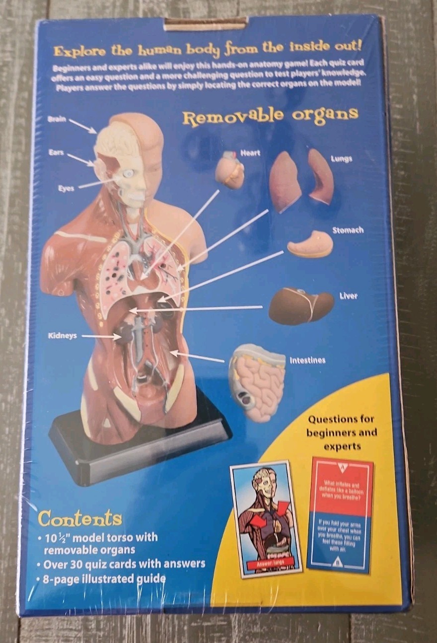 Lakeshore Fascinating Facts Human Body Game GG114, Learning Quiz Card FIgure NEW