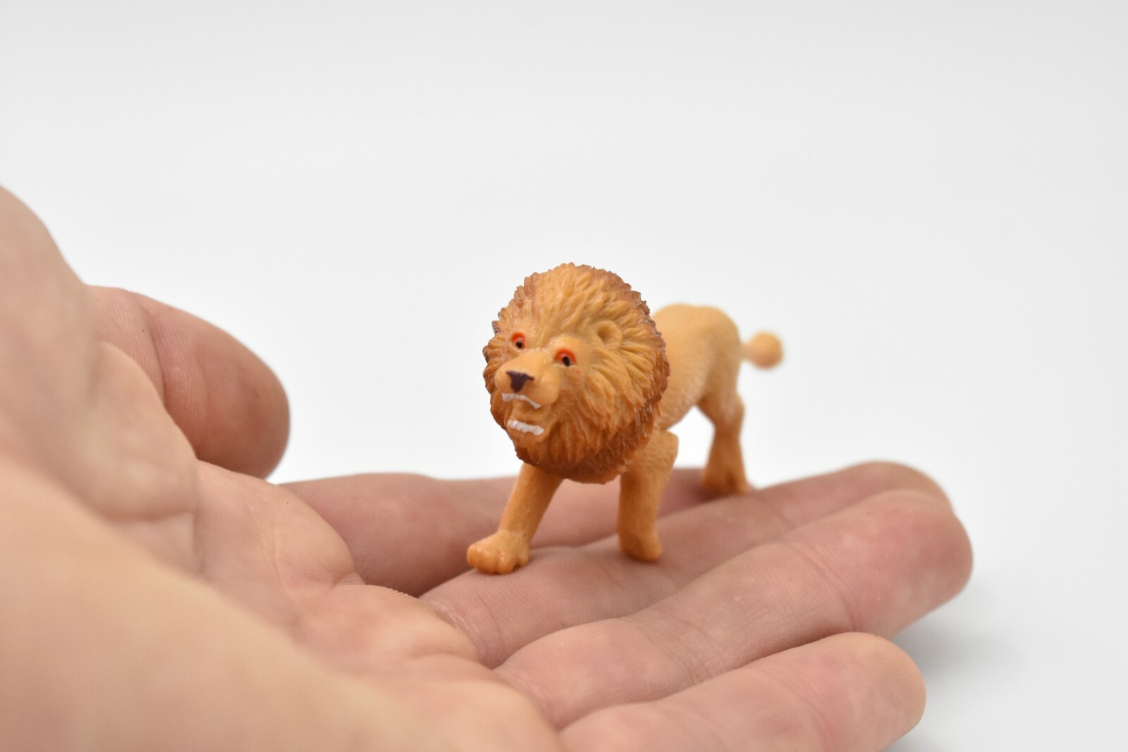 Lion, Small Plastic Animal 2 7/8 inches 1 1/2 inches tall – F3550 B17