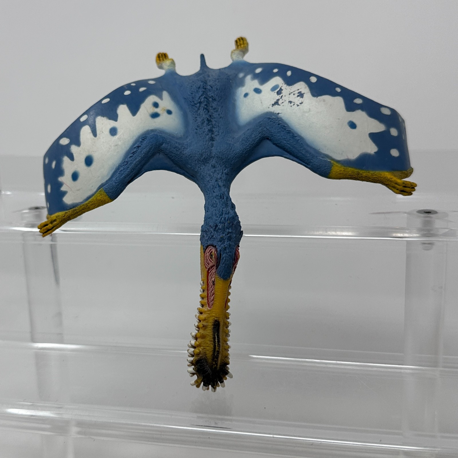 Schleich Anhanguera Figure Blue Prehistoric Dinosaur Animal Figurine 5.5″ 2014
