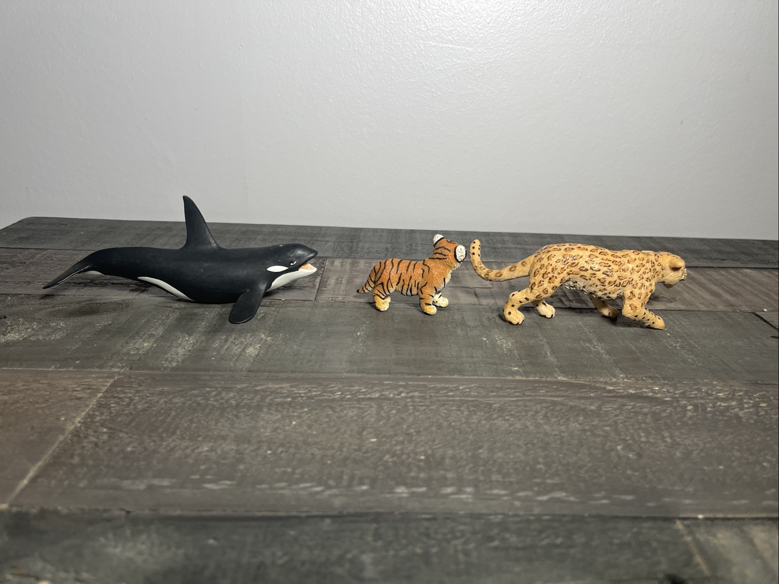 Safari Ltd Wild Animal Figure Lot Tigers Lions Zebra Eagle Turtle Leopard 14