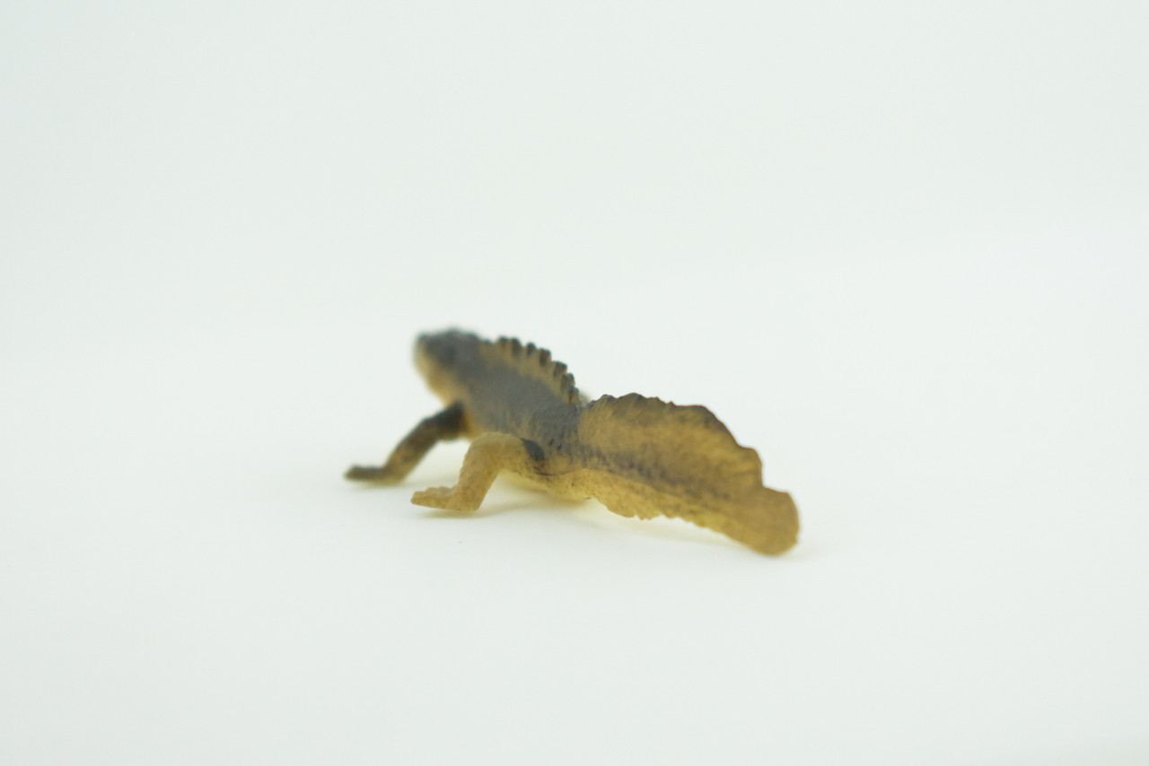 Toy Water Dragon, Sailfin Lizard, Realistic Hand Painted Rubber, 2″ WR48 B197