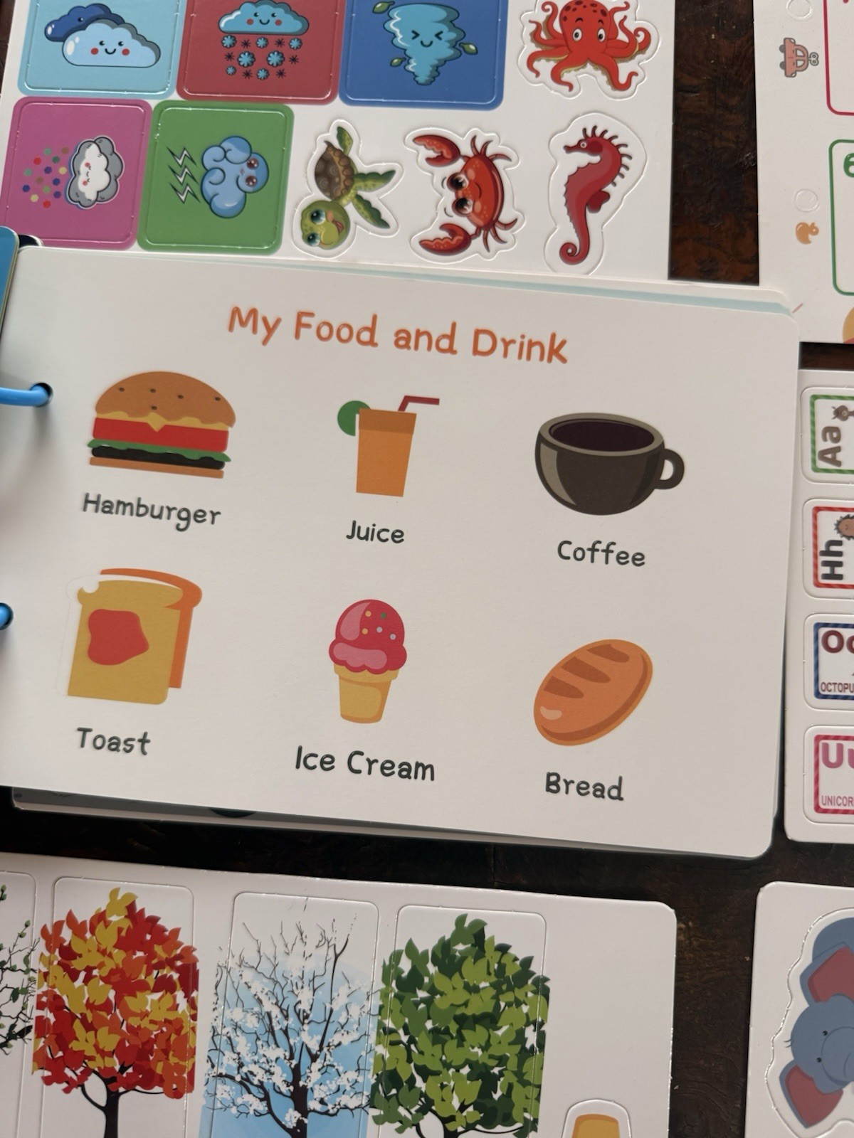 Montessori Preschool Learning Board Set