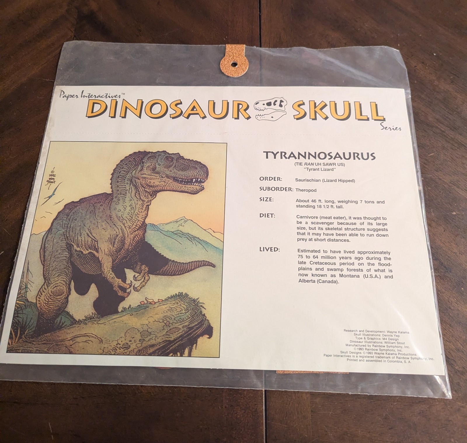 Dinosaur 3-D Paper Skull TYRANNOSAURUS Vintage 1993 Model Fossil New SEALED