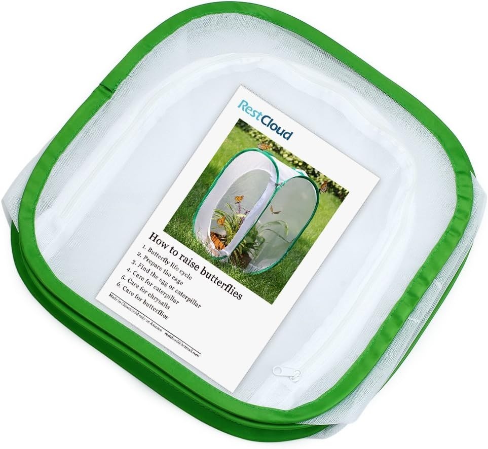 Insect and Cage Terrarium Pop-up 12 X 12 X 12 Inches
