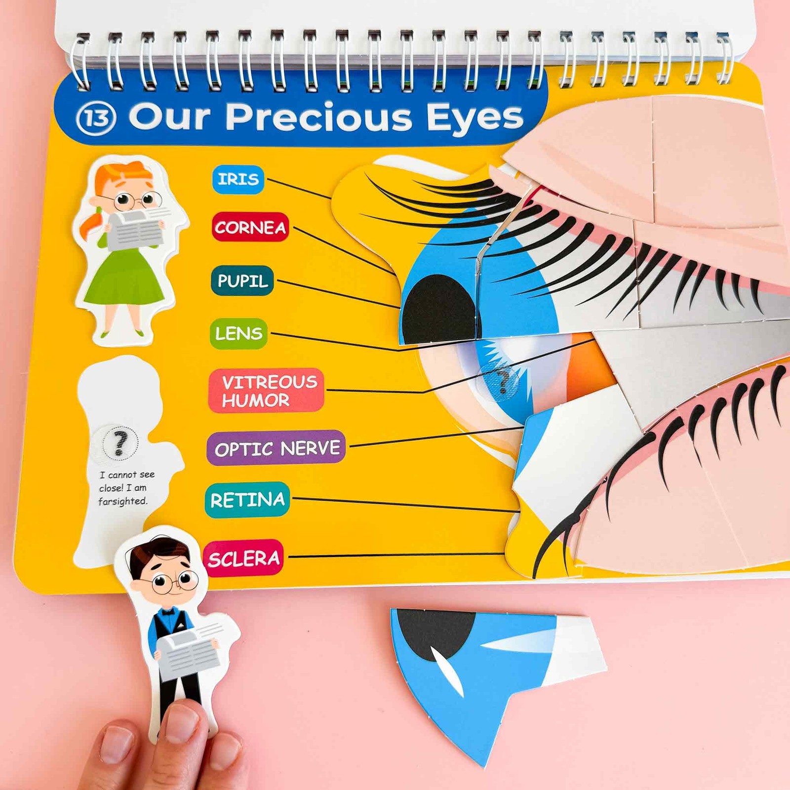 Human Body Busy Books for Kids Ages 4-8 – Fun Human Anatomy Activities for Ki…