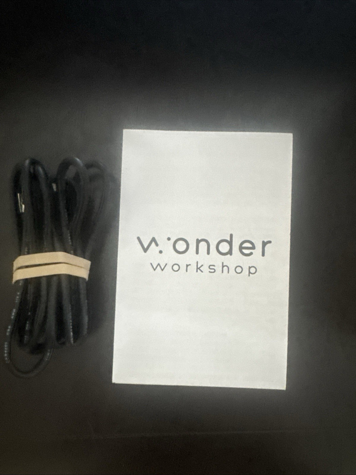 Wonder Workshop Dash Coding Robot W/Accessory Pack, Launcher, Cards READ LISTING