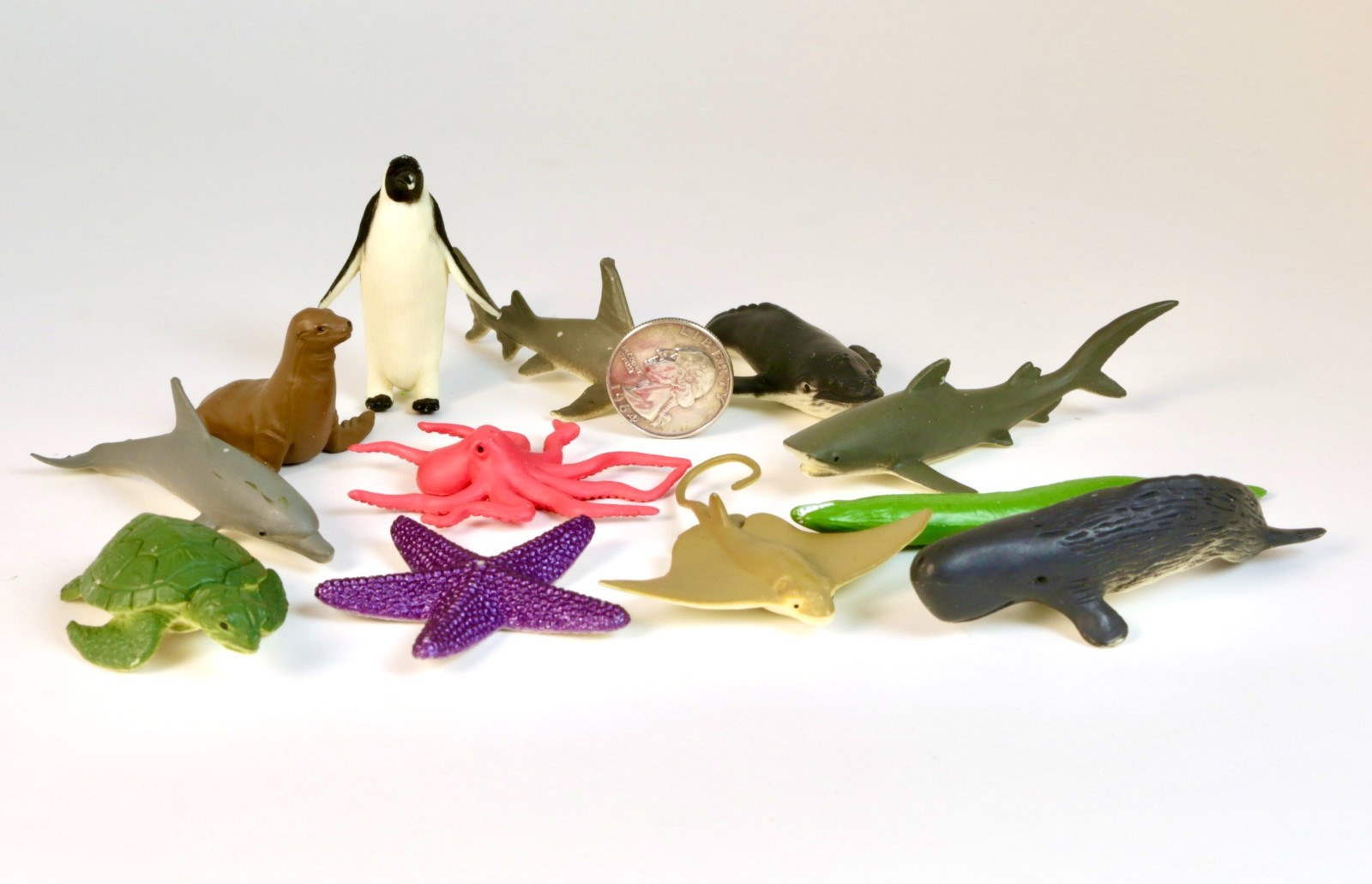 Safari Ltd. Ocean TOOB – 12 Mini Toy Figurines, Marine Ocean Life Figure Set