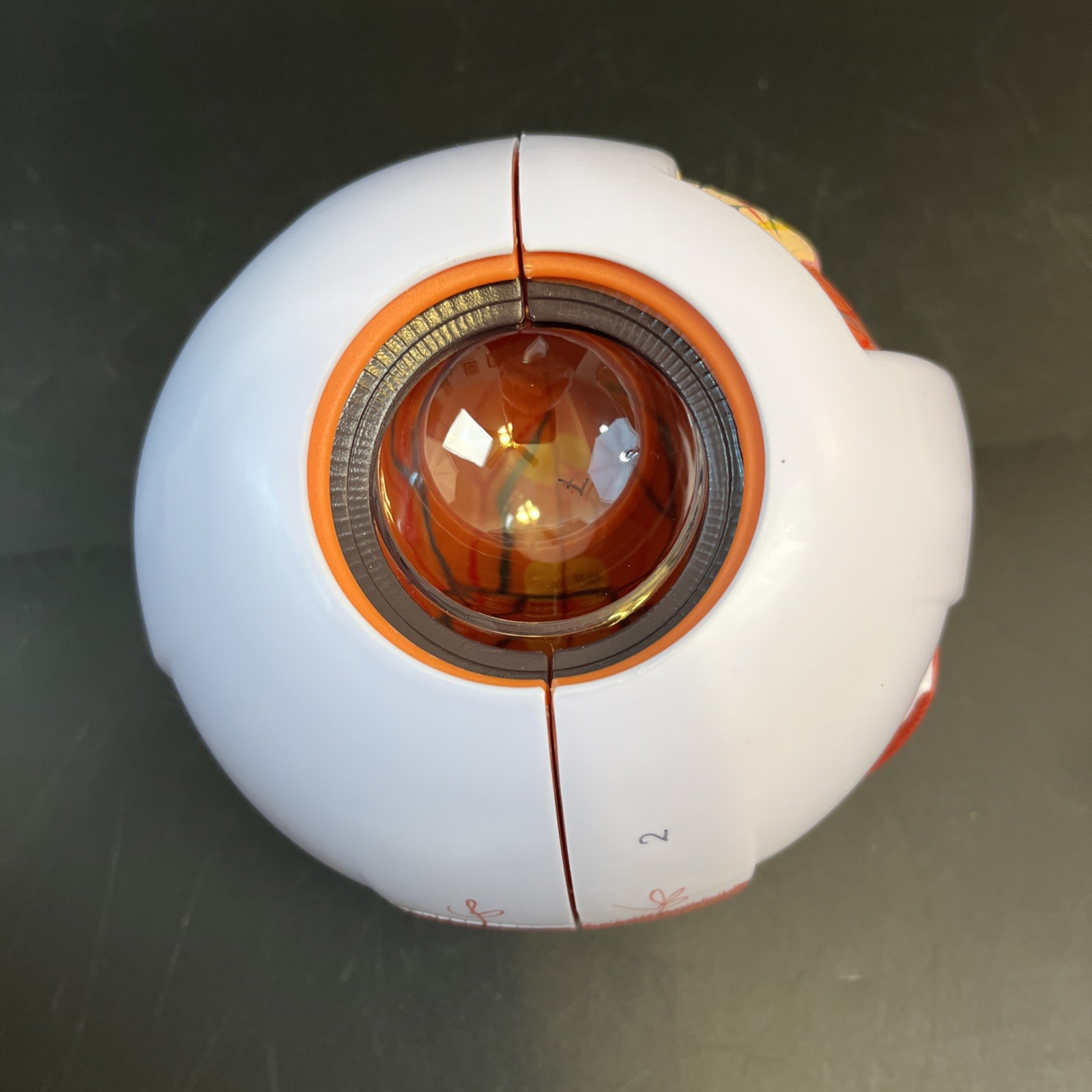 6X Enlarged Human Eye Anatomical Model for Science Classroom Teaching Display