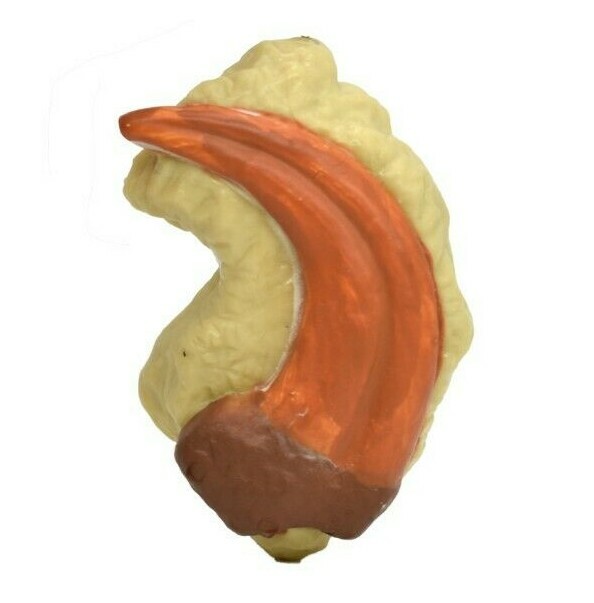 Velociraptor Dinosaur Claw Fossil Plastic Replica 1 3/4 inches long – F4105 B96