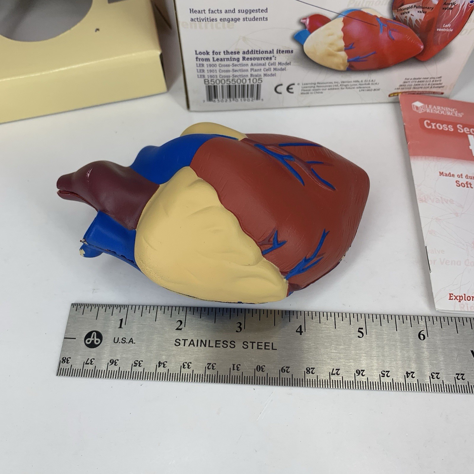 Cross Section HEART Model Learning Resources LER 1902 Soft Foam Anatomy Grade 2+
