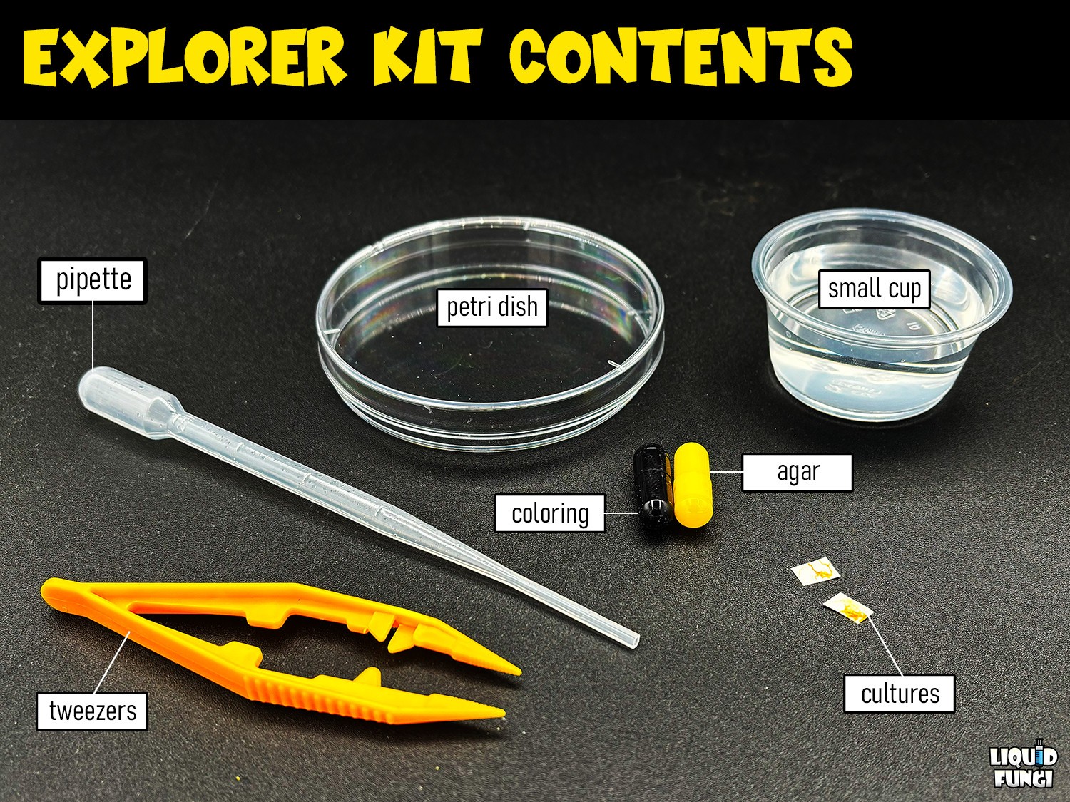 Slime Mold Educational Science Kit Physarum Polycephalum Study Project
