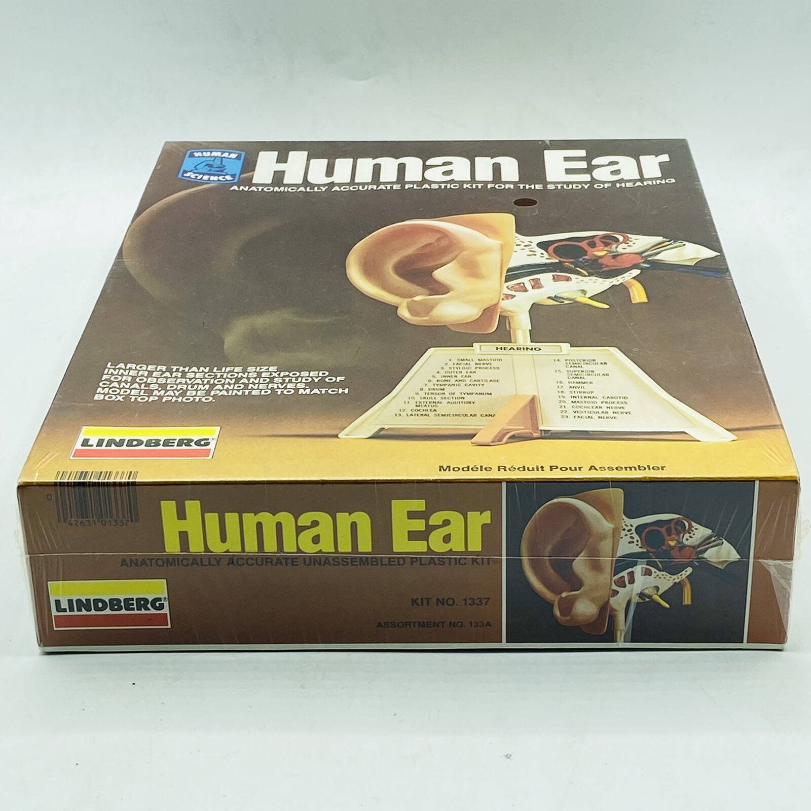 Vintage 96’ Lindberg HUMAN EAR Model Kit Complete In Sealed Box #1337