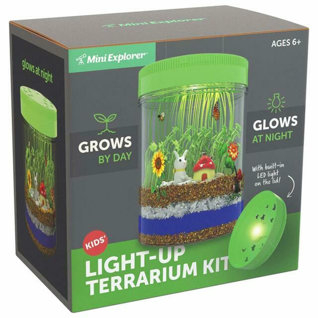 NIB Mini Explorer 4 x 6 in Light-up Terrarium Kit with LED