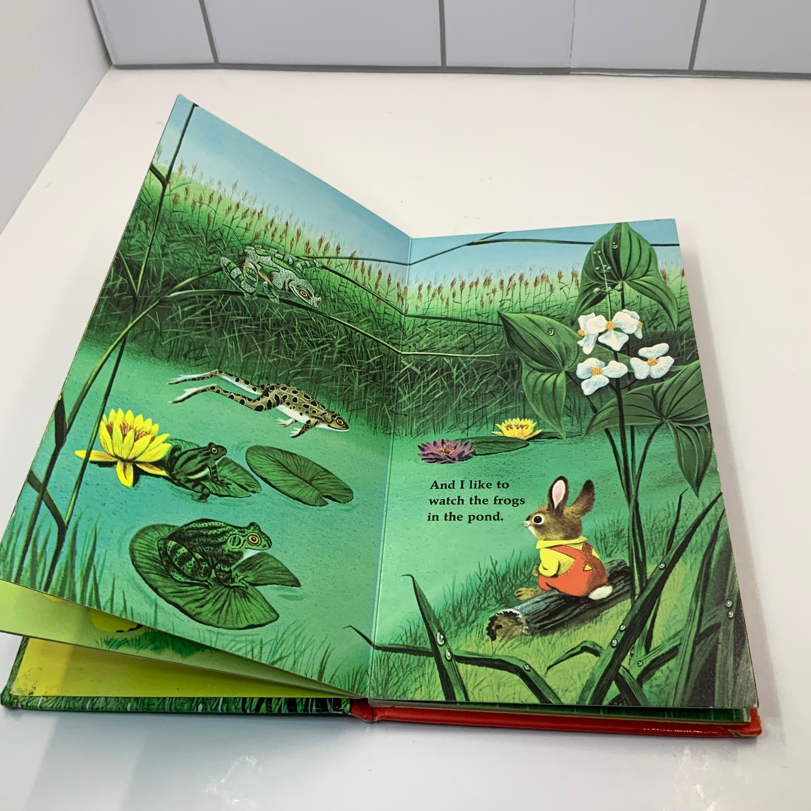 I Am a Bunny Richard Scarry Ole Risom Golden Sturdy Book Vintage Board Book 1963