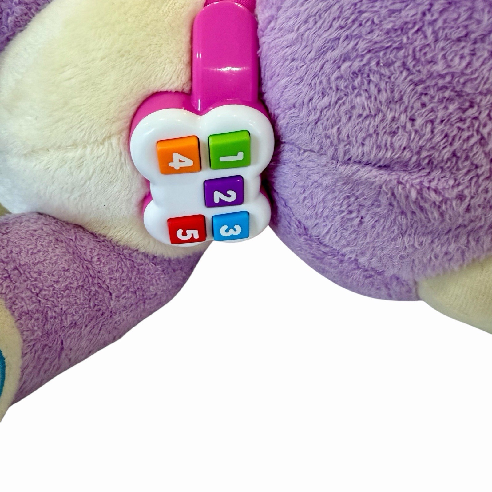 LeapFrog Violet Read With Me Interactive Plush Dog Tested Works EUC!! RARE!