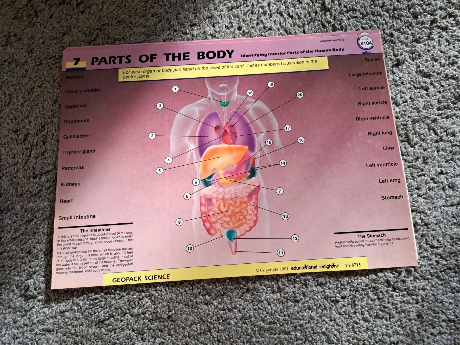 Electronic Geosafari 20 Lessons Science Cards Geography Game