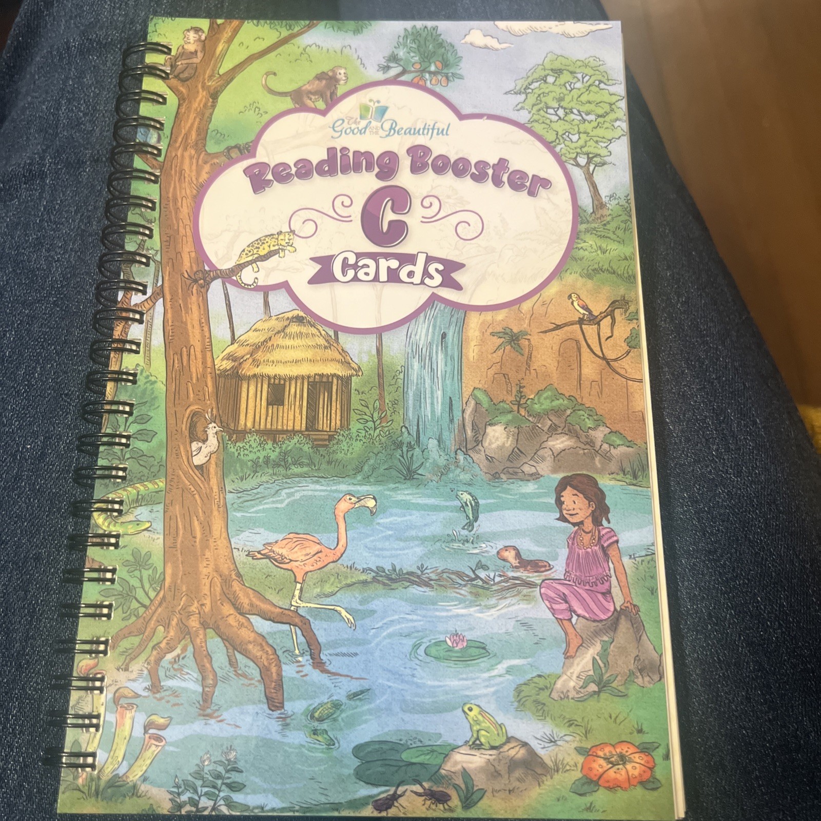 The Good and The Beautiful Reading Booster C Cards
