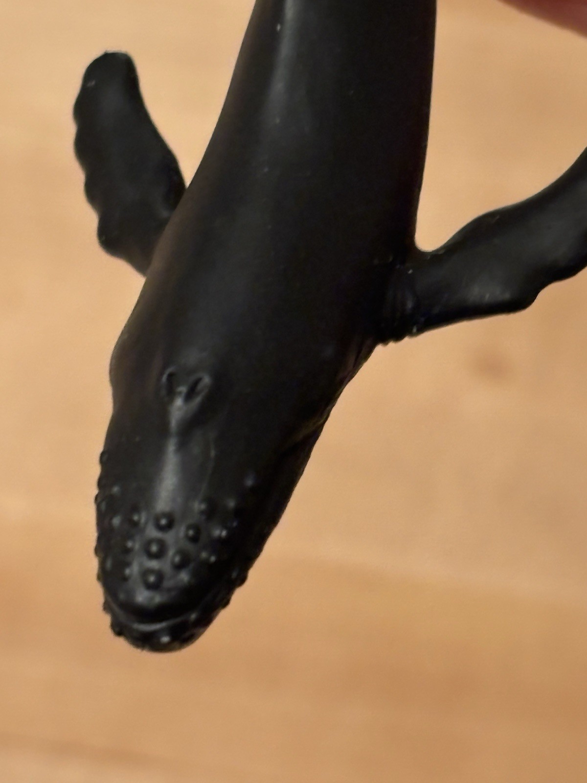 Safari Ltd Dolphin Blue Whale Humpback Whale Plus Unbranded Shark 3” Ocean Set
