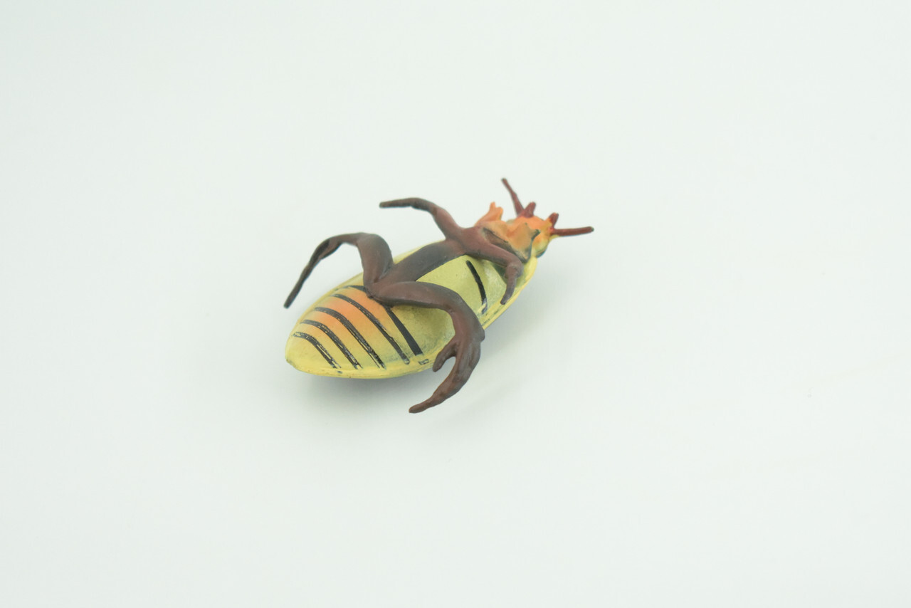 Yellow Edged Diving Beetle Toy Realistic Hand Painted Rubber 2.25″ CH857 BB198