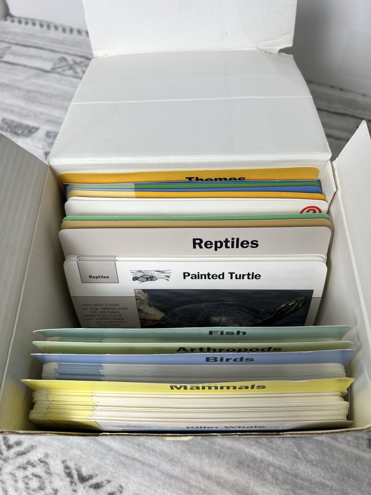 Grolier Wildlife Adventure Cards Box Animals Educational Homeschool 1990s