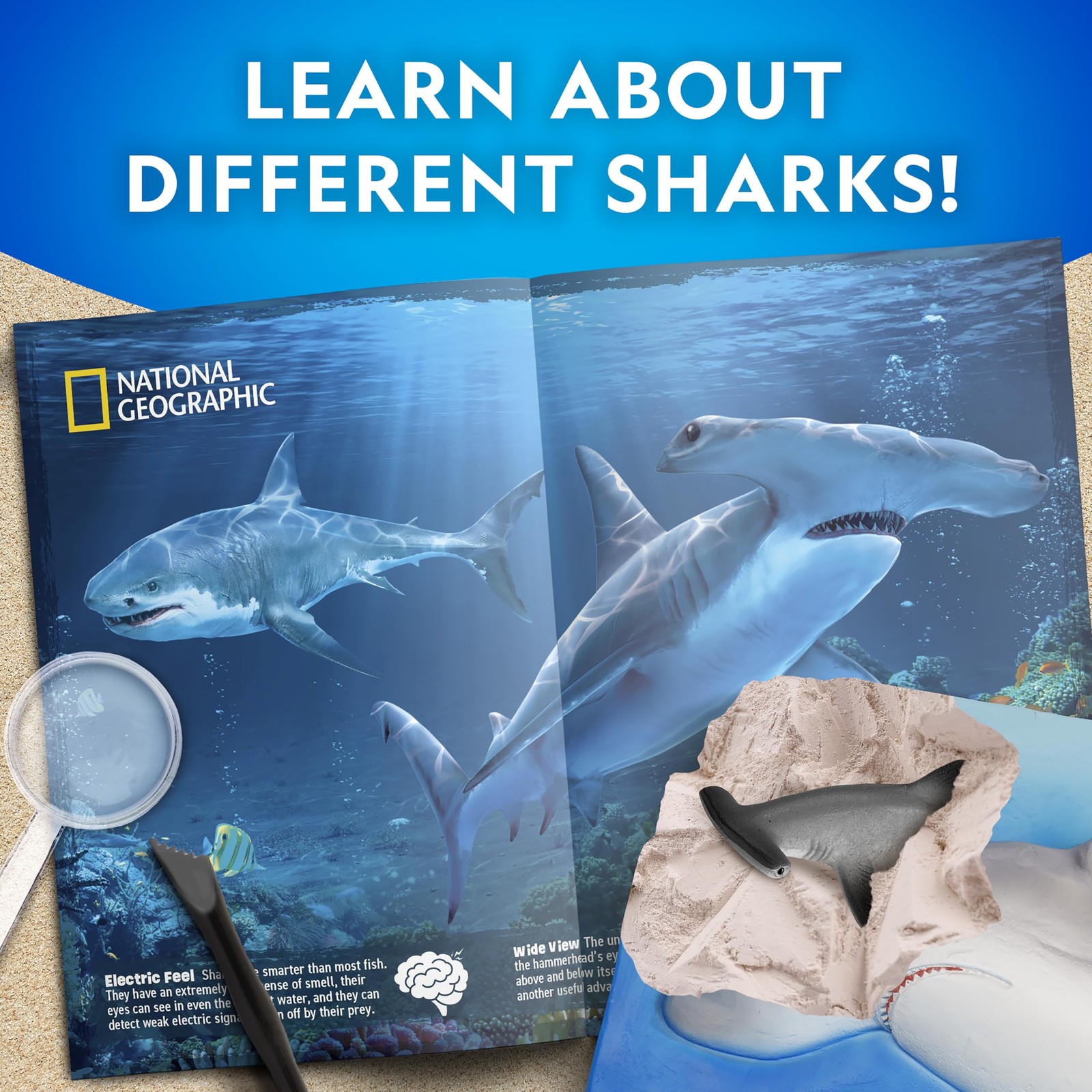 National Geographic Shark Dig Kit Science Set for Child Age 8 Years and up