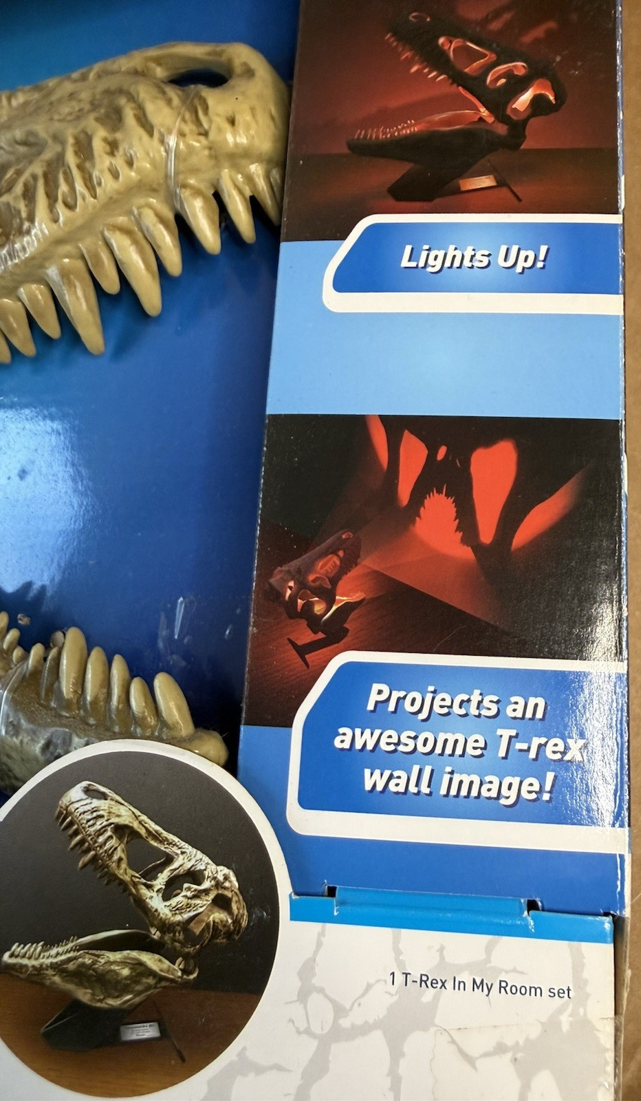 Uncle Milton T-Rex in My Room Light Up Dino Skull New Kids Room Decor