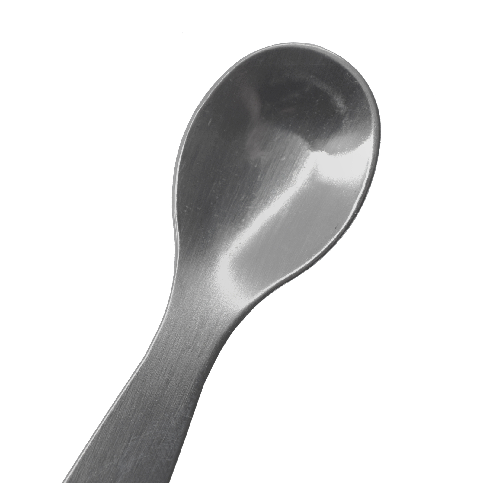Scoop with Spatula, 5.9″ – Stainless Steel, Polished – Eisco Labs