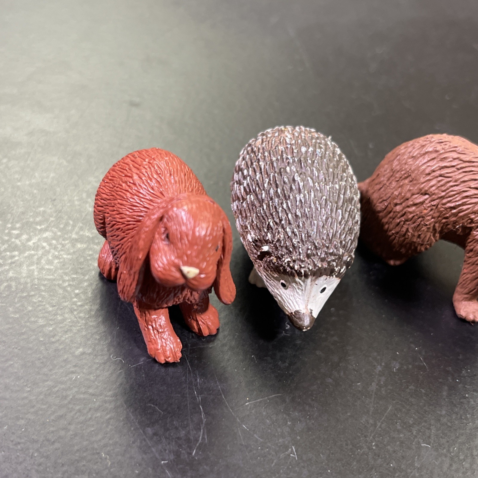 Mixed Lot of 6 Safari Ltd Animals Cat Fish Turtle Rabit ETC Educational Figures