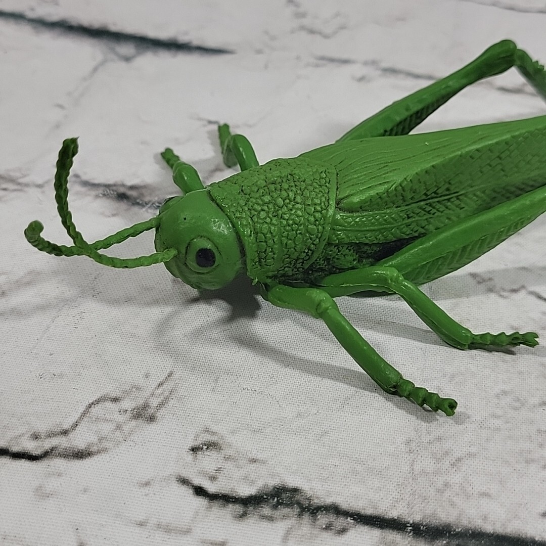Jumbo Bugs Insects Figures Caterpillar Fly Tadpole Frog Eggs Science Nature Lot