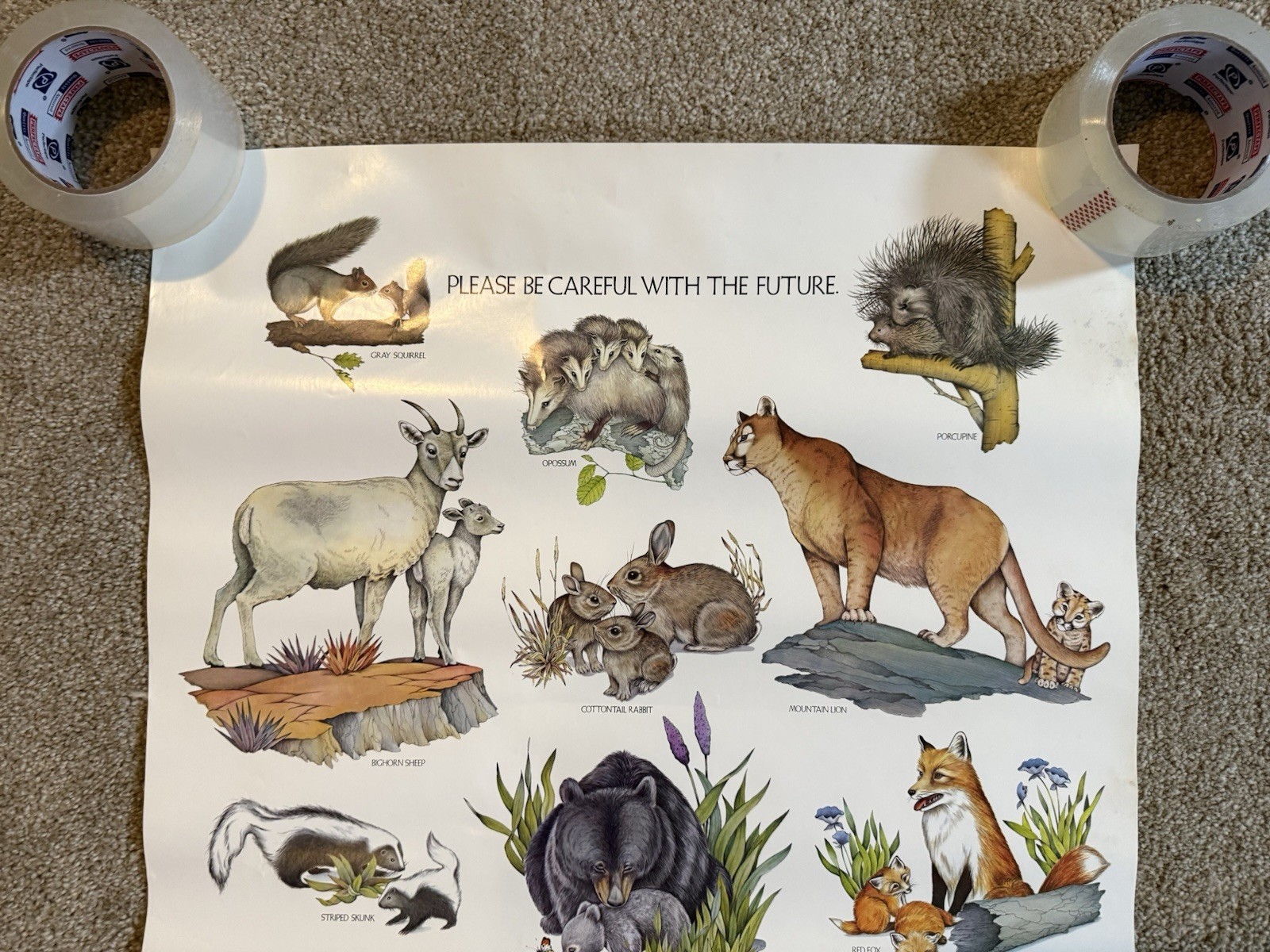 VTG Please Be Careful With The Future Animal Species Smokey The Bear Poster