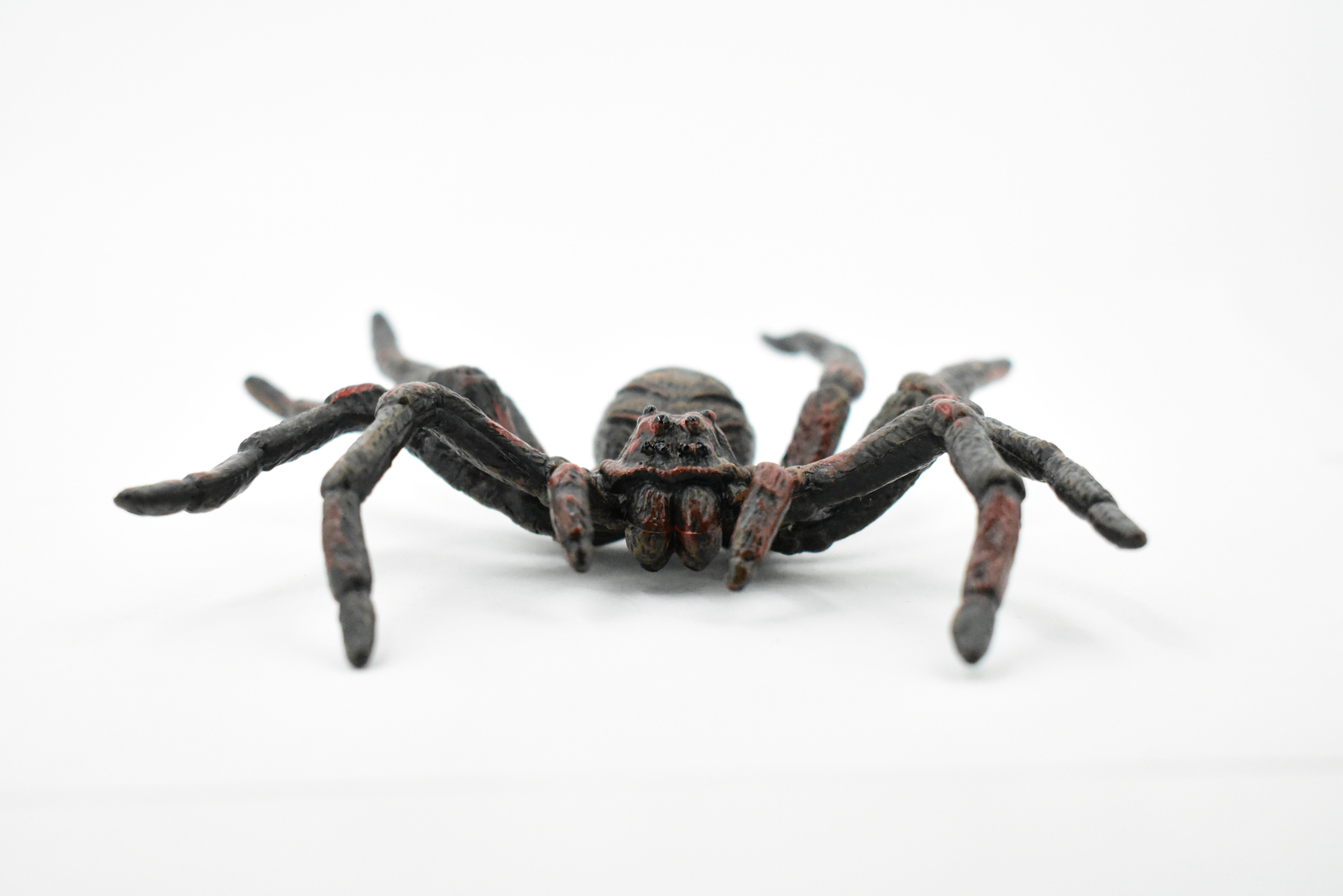 Wolf Spider, Hand Painted, Realistic Figurine, Model, Gift 5″ CH186 BB115