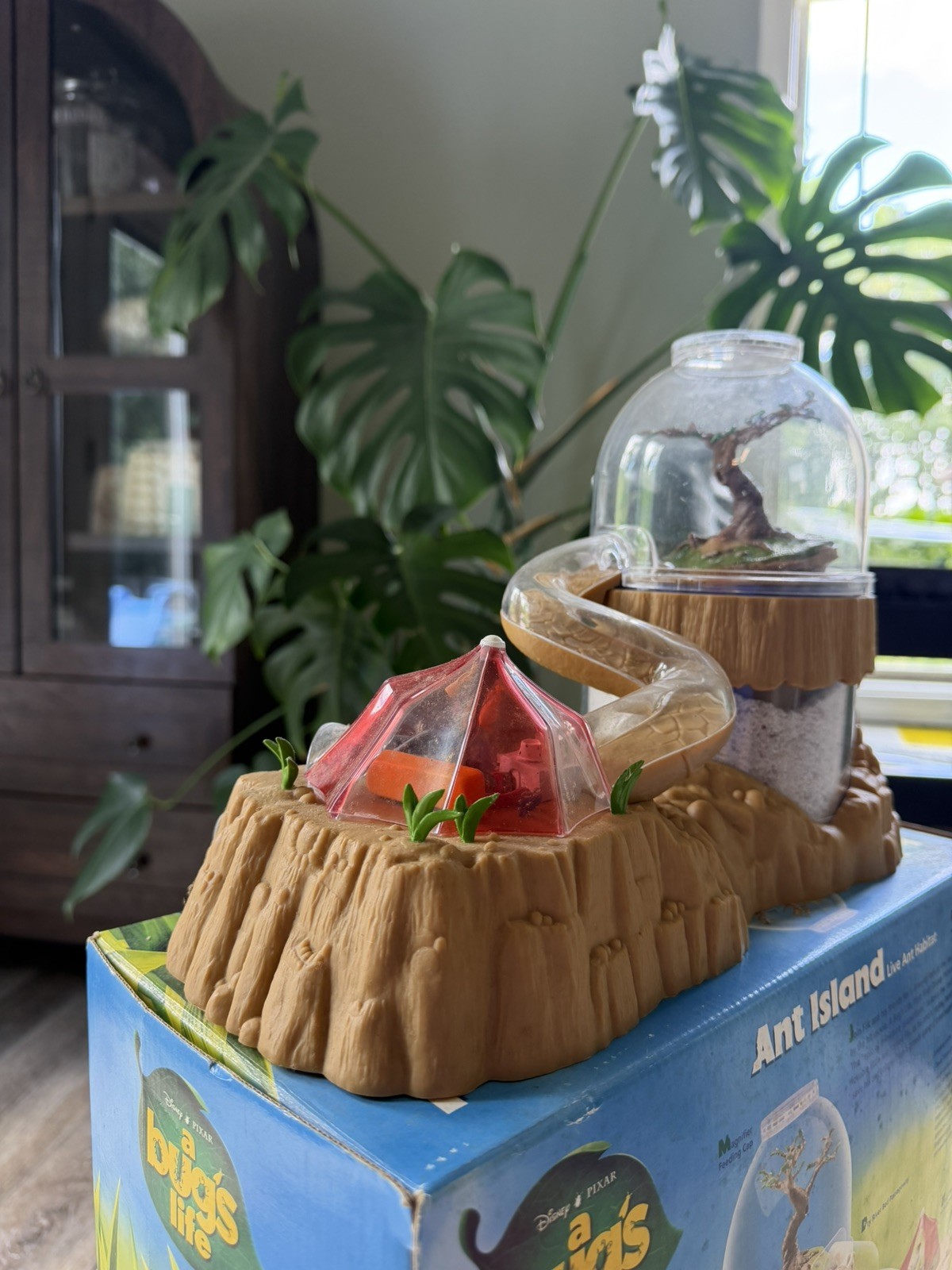 Vintage Disney/Pixar A Bugs Life Ant Island Live Ant Habitat/Farm (No Ants) 1998