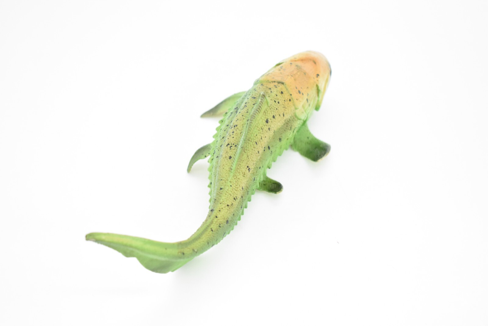 Dunkleosteus, Prehistoric Fish Dinosaur, Realistic Rubber Model Hand Painted Toy