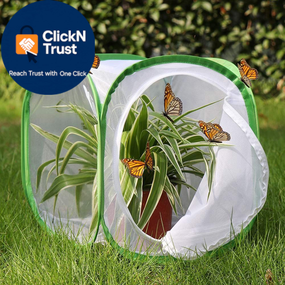 RESTCLOUD Insect and Butterfly Habitat 12 x 12 x 12 inches, White With Green
