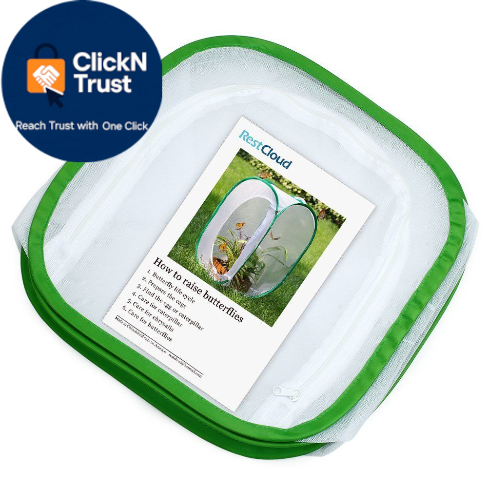 RESTCLOUD Insect and Butterfly Habitat 12 x 12 x 12 inches, White With Green