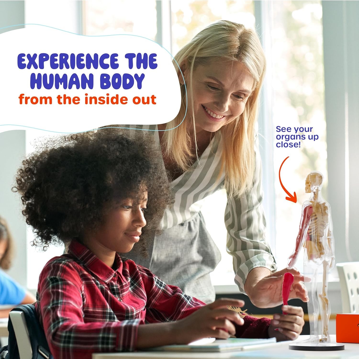 Dan&Darci Human Anatomy Squishy Body Model – Science Kits for Kids Ages 4-8 – ST